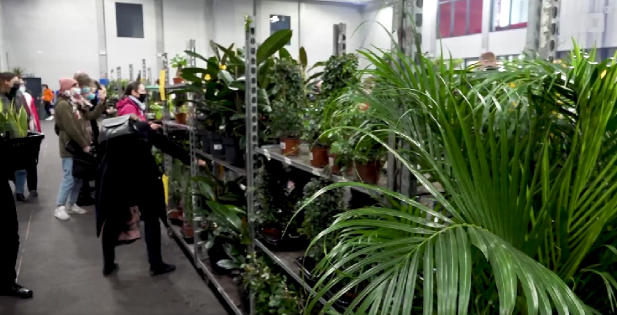 Festiwal roślin w Opolu